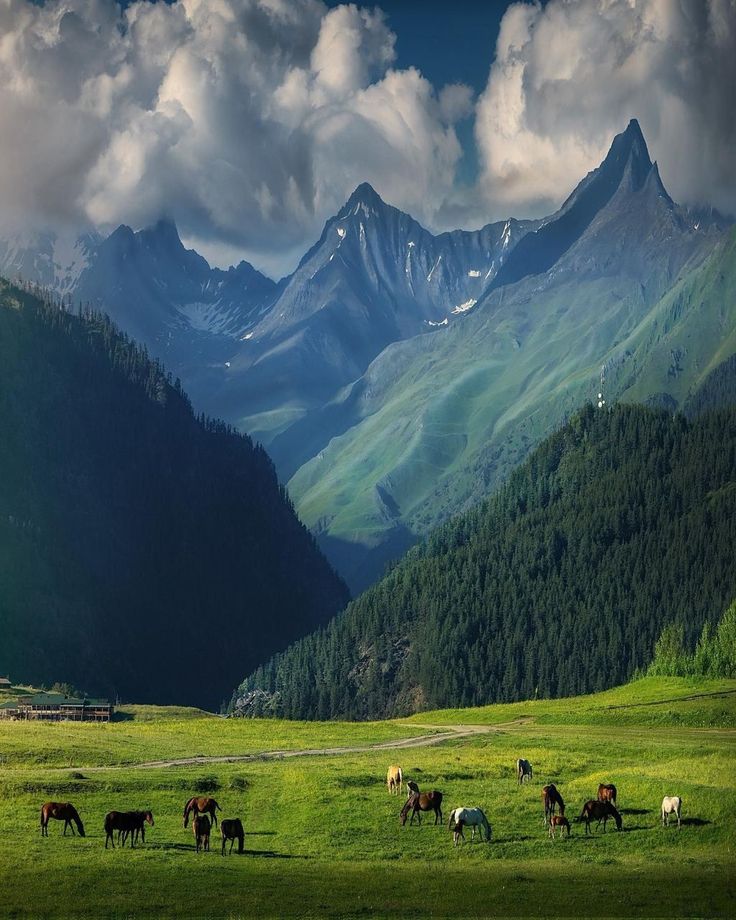 Caucasus Mountains