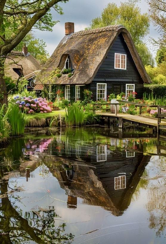 Netherland5