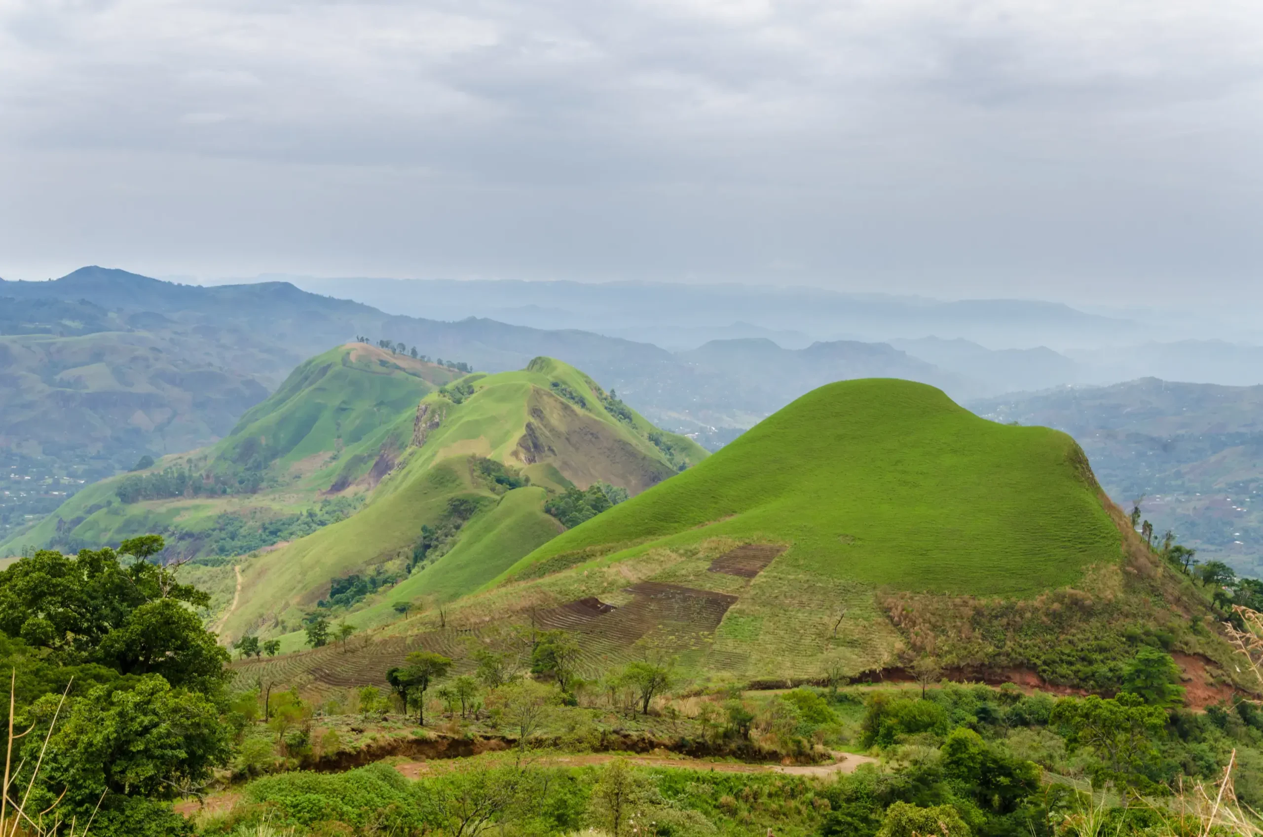 cameroon
